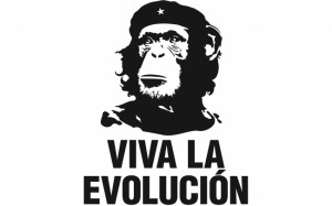 Business evolution